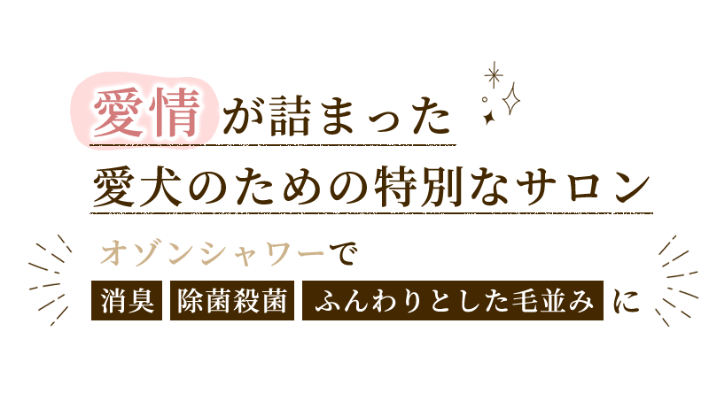 愛情が詰まった愛犬のための特別なサロン オゾンシャワーで消臭・除菌殺菌・ふんわりとした毛並みに